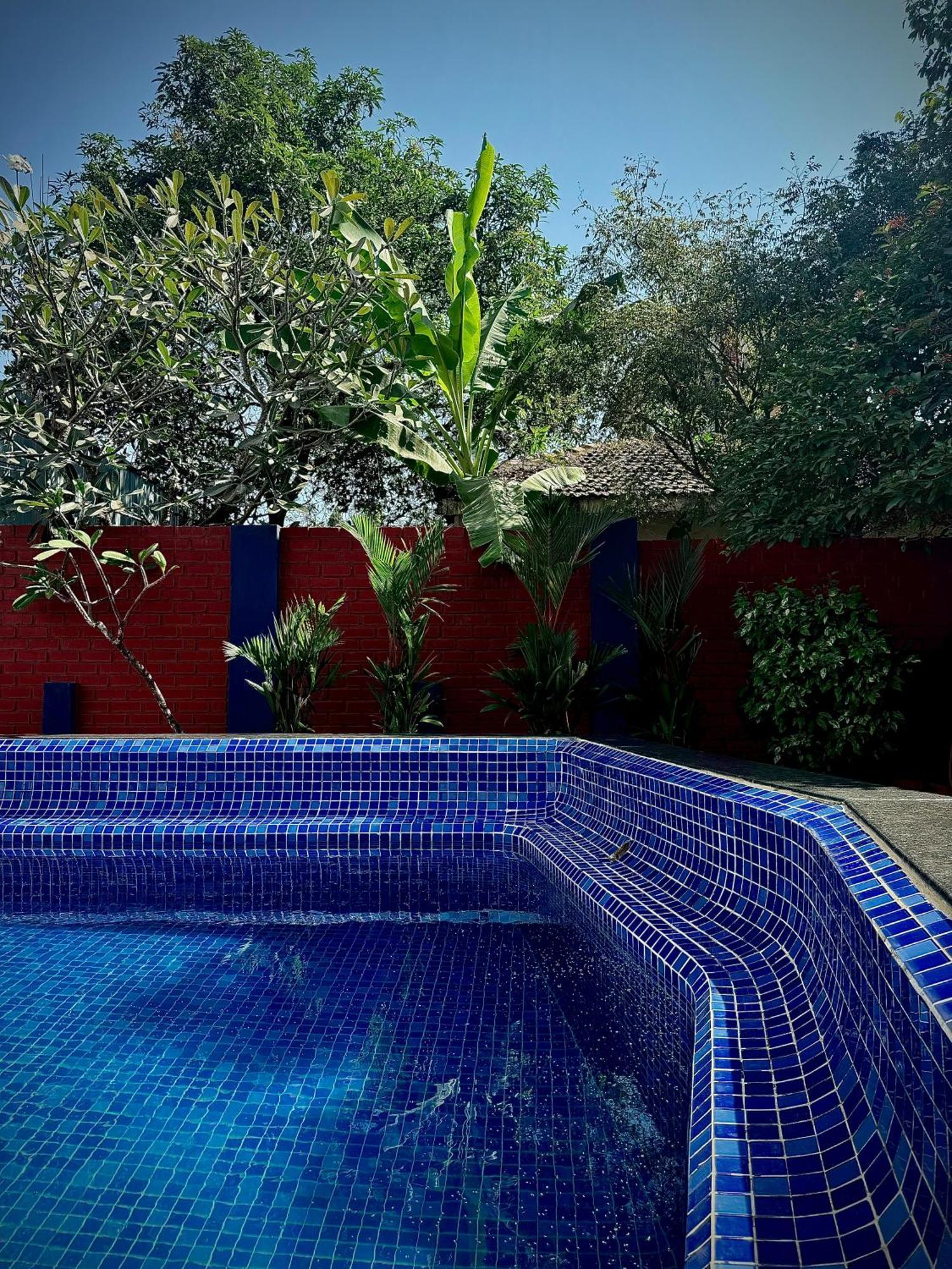 1Bhk Suites With Kitchen & Pool By Goaround Homes At 瓦加托 外观 照片